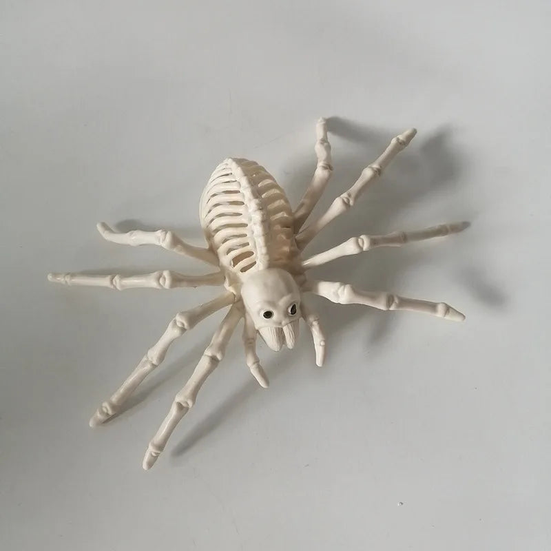 Realistic Skeleton Animal Props — Halloween Haunted House, Prank & Party Decor