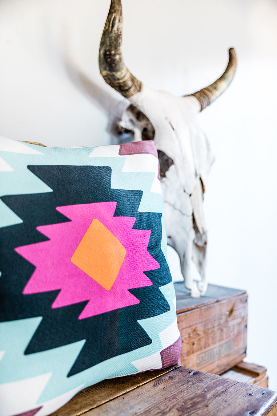 Southwestern Decorative Throw Pillow