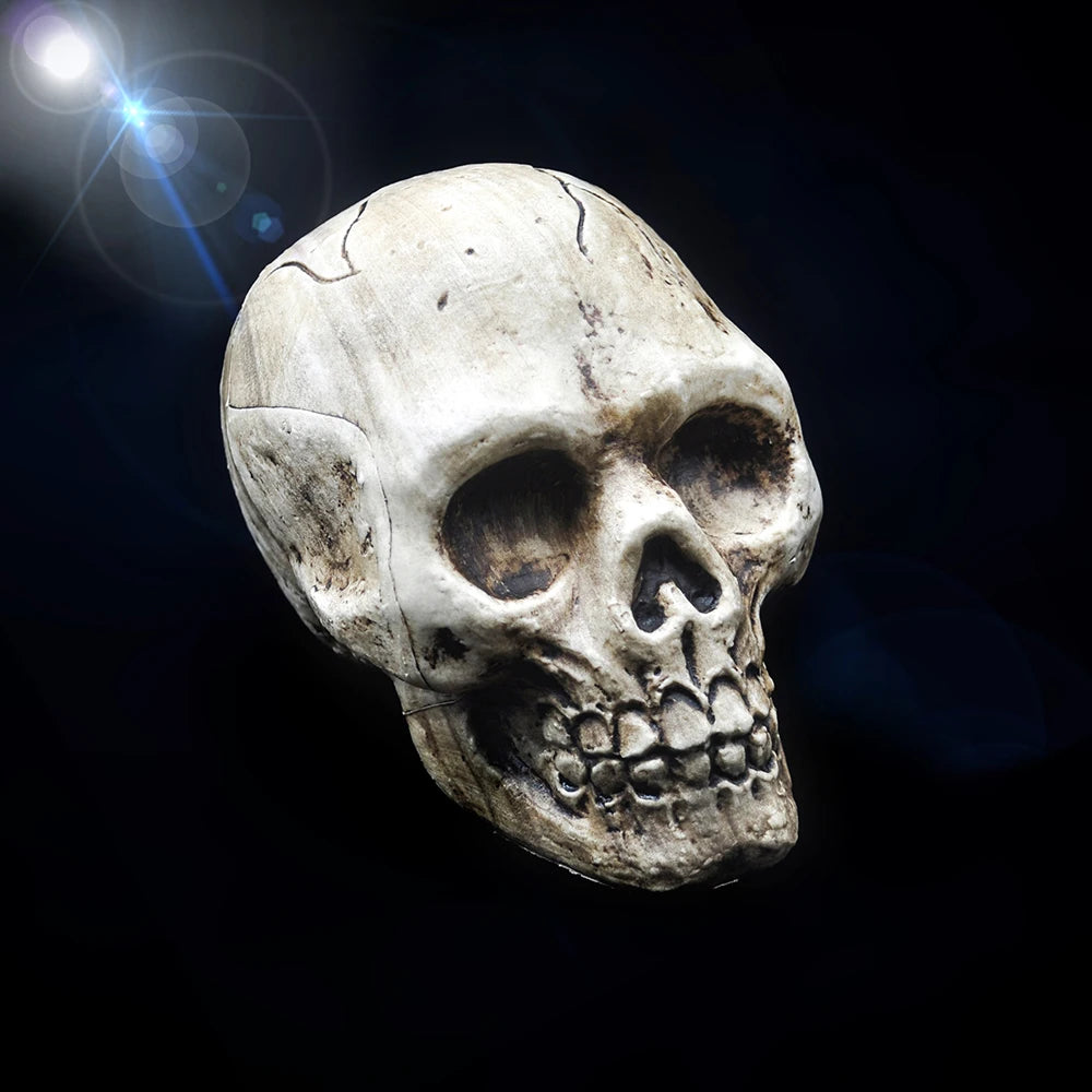 Hand-Painted Halloween Skull Prop — Haunted House, Party & Spooky Display Ornament