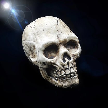 Hand-Painted Halloween Skull Prop — Haunted House, Party & Spooky Display Ornament