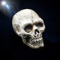 Hand-Painted Halloween Skull Prop — Haunted House, Party & Spooky Display Ornament