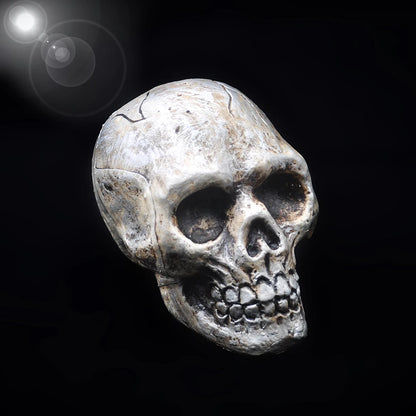 Hand-Painted Halloween Skull Prop — Haunted House, Party & Spooky Display Ornament