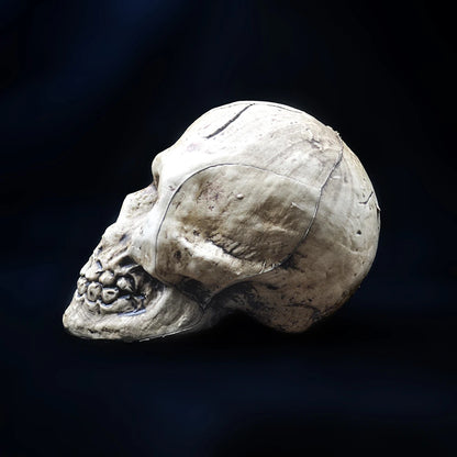 Hand-Painted Halloween Skull Prop — Haunted House, Party & Spooky Display Ornament