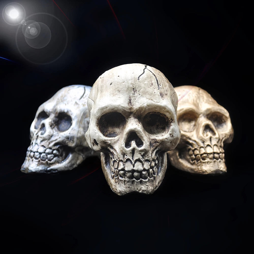 Hand-Painted Halloween Skull Prop — Haunted House, Party & Spooky Display Ornament
