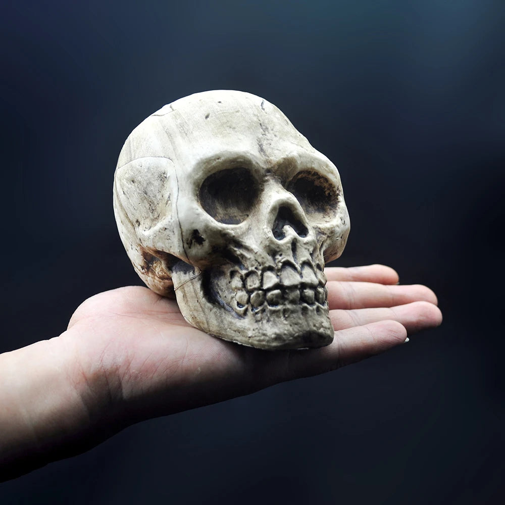 Hand-Painted Halloween Skull Prop — Haunted House, Party & Spooky Display Ornament