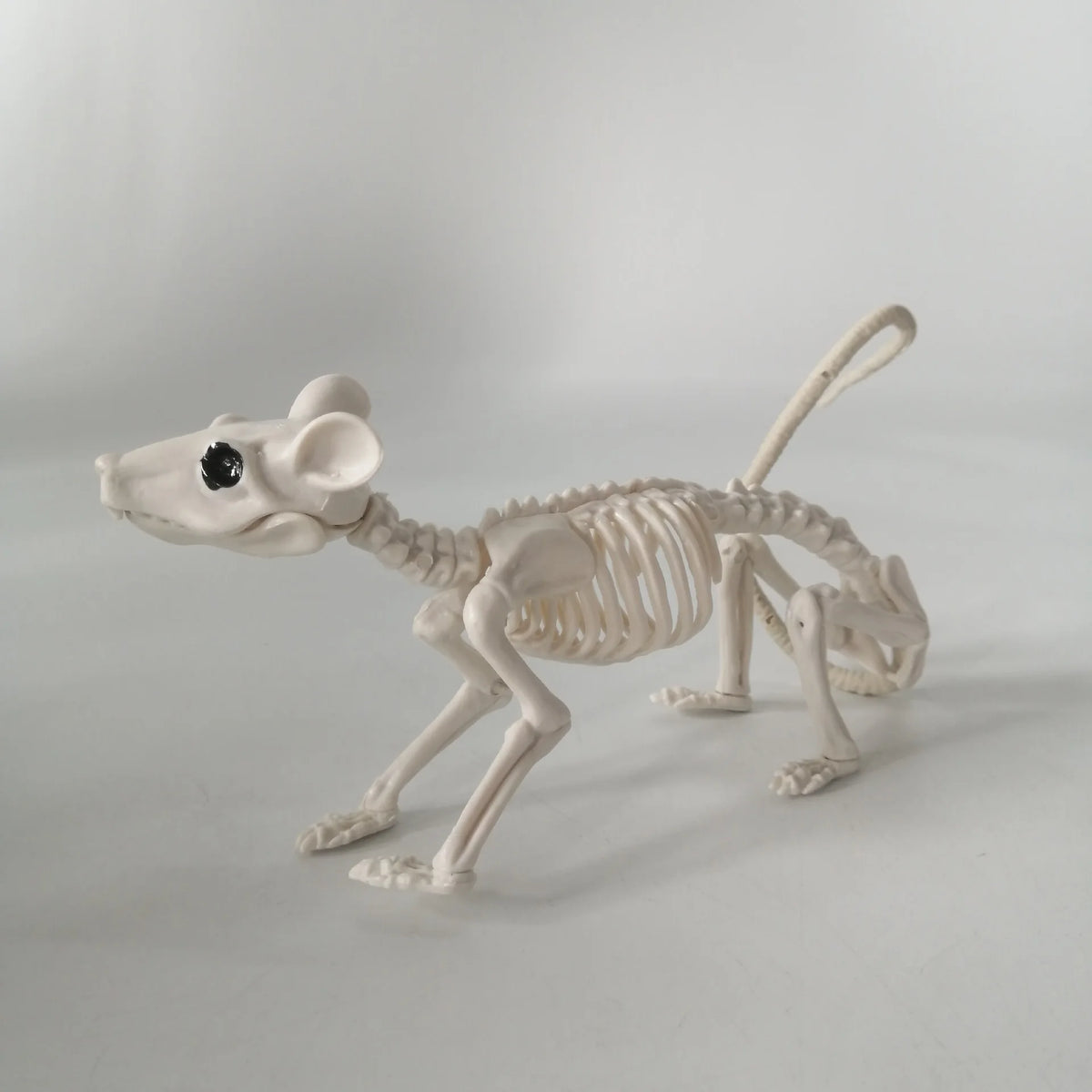 Realistic Skeleton Animal Props — Halloween Haunted House, Prank & Party Decor