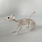 Realistic Skeleton Animal Props — Halloween Haunted House, Prank & Party Decor