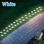 Solar LED Garden Pathway Light — 8 Modes, Waterproof Outdoor Stake Lamp