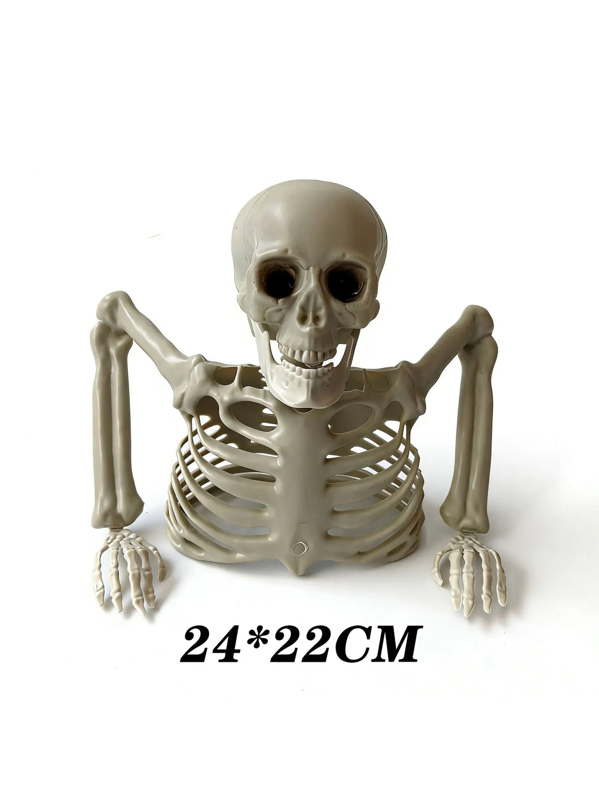 Halloween Half Skeleton Prop — Horror Scene Decoration for Haunted Houses & Escape Rooms